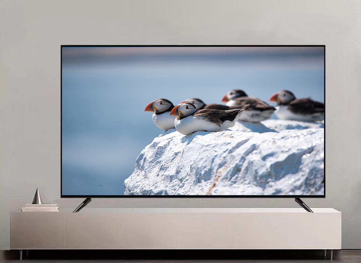 Mi Smart TV98 QLED